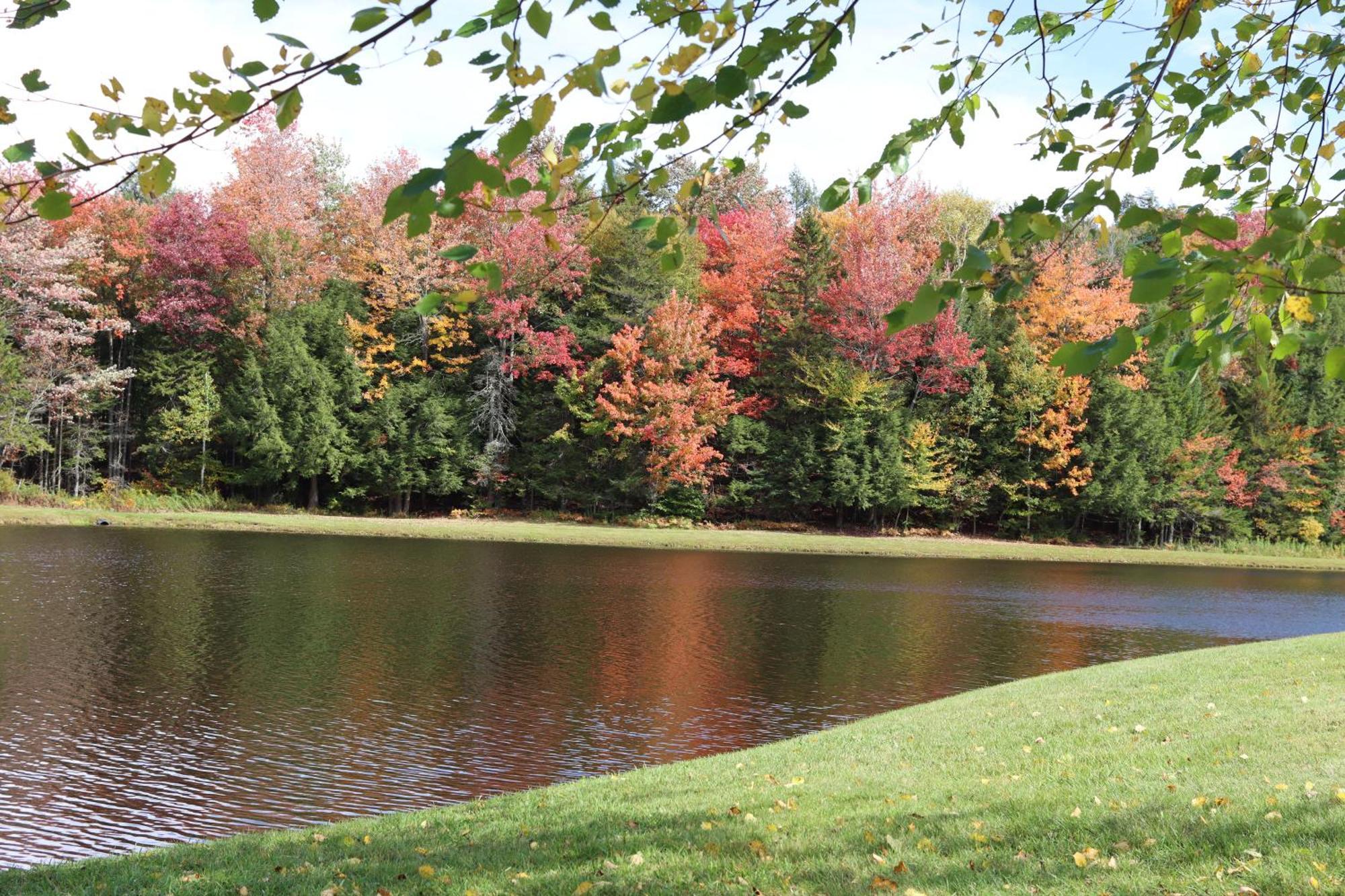 Deerfield Valley Inn - Mt Snow Dover Luaran gambar